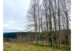 3 HECTÁREAS Llico Alto, Fresia. Región de Los Lagos.