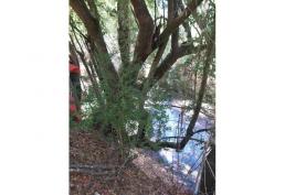 Hermosa parcela a orillas de río privado 1.8 ha