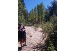 Hermosa parcela a orillas de río privado 1.8 ha