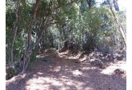 Hermosa parcela a orillas de río privado 1.8 ha