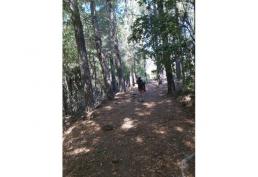 Hermosa parcela a orillas de río privado 1.8 ha