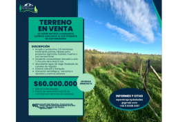 Predio de 3.5 hectáreas en Huenutil del Peumo, Ñiquén, Ñuble