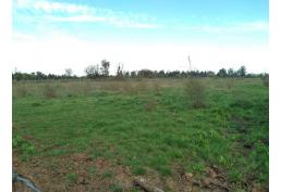 Predio de 2.5 hectáreas en Huenutil del Peumo, Ñiquén, Ñuble