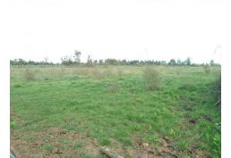 Predio de 2.5 hectáreas en Huenutil del Peumo, Ñiquén, Ñuble