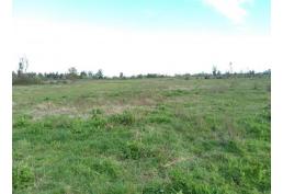 Predio de 2.5 hectáreas en Huenutil del Peumo, Ñiquén, Ñuble