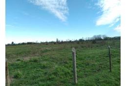 Predio de 2.5 hectáreas en Huenutil del Peumo, Ñiquén, Ñuble