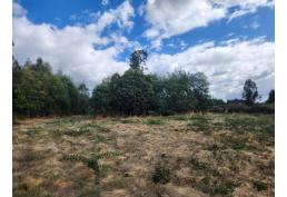 Se vende terreno de 5.000 m² en condominio privado – Los Ángeles, Región del Biobío