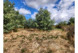 Se vende terreno de 5.000 m² en condominio privado – Los Ángeles, Región del Biobío