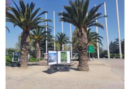 Se Vende Sepultura en Parque del Recuerdo Padre Hurtado