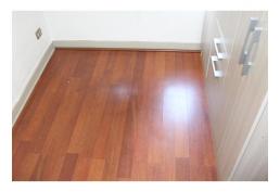 Precioso Dpto. Eleuterio Ramirez. Stgo Centro.