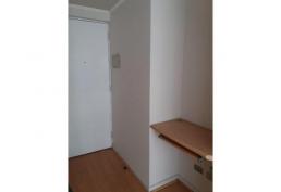 Metro Sta Ana dpto 1dmt y living