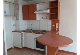 Metro Sta Ana dpto 1dmt y living