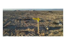 Terrenos en PUNTA DE CHOROS, 5000 m2 con rol propio