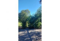 Sitio 1493 mtrs2 SE VENDE Miraflores Peñaflor