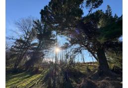 Parcela con casa SE VENDE Nancahue LONCOCHE