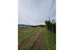 Parcela en venta Precordillera de Linares