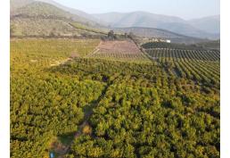 Hermosa y amplia parcela en Mallarauco Melipilla