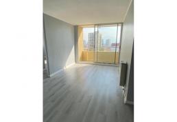 Departamento remodelado Recoleta, Santos Dumont