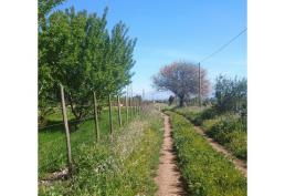 VENTA CON BONO NAVIDEÑO DE $ 3.000.000