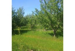 VENTA CON BONO NAVIDEÑO DE $ 3.000.000