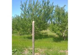 VENTA CON BONO NAVIDEÑO DE $ 3.000.000