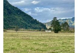 Valle Riñinahue: Tu santuario familiar en el sur. ¡Comienza a disfrutar!