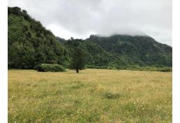 Valle Riñinahue: Tu santuario familiar en el sur. ¡Comienza a disfrutar!