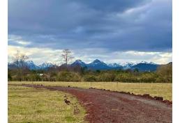 Valle Riñinahue: Tu santuario familiar en el sur. ¡Comienza a disfrutar!