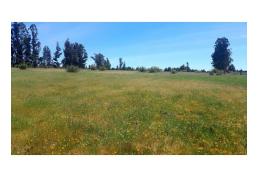 Vendo terrenos de 5.000 m2