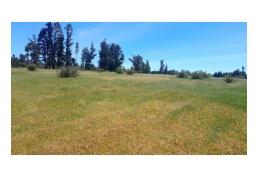 Vendo terrenos de 5.000 m2