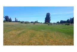 Vendo terrenos de 5.000 m2