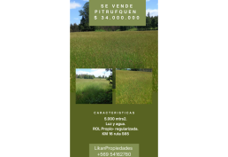 SE VENDE Parcela de agrado luz y agua Ruta Pitrufquen Villarrica