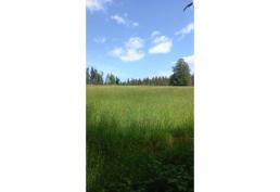 SE VENDE Parcela de agrado luz y agua Ruta Pitrufquen Villarrica