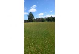 SE VENDE Parcela de agrado luz y agua Ruta Pitrufquen Villarrica