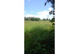 SE VENDE Parcela de agrado luz y agua Ruta Pitrufquen Villarrica