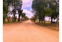 PARCELA 5000 MTS PALMAS EL CHEQUEN