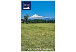 Parcelas en Panguipulli (10 mins) Crédito directo Escrituración inmediata