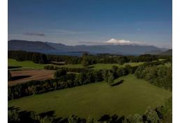 Parcelas en Panguipulli (10 mins) Crédito directo Escrituración inmediata