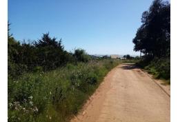 Vendo sitio en Playa La Ballena