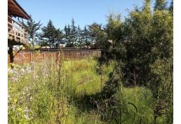 Vendo sitio en Playa La Ballena