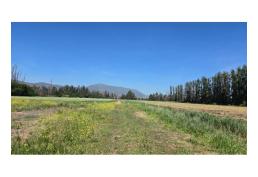 Se Venden Parcelas En Condominio Alto Los Alamos, Talagante