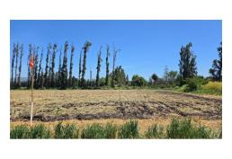 Se Venden Parcelas En Condominio Alto Los Alamos, Talagante