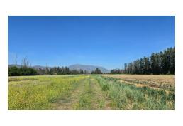 Se Venden Parcelas En Condominio Alto Los Alamos, Talagante