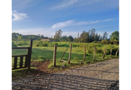 Oportunidad en Nueva Imperial