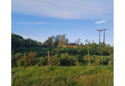 Oportunidad en Nueva Imperial