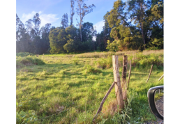 Oportunidad en Nueva Imperial