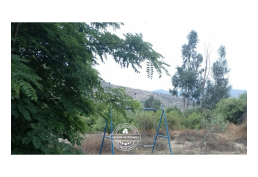 VENDE PARCELA PLANA EN LOS BOSQUES DE MIRAFLORES, CURACAVÍ