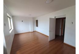 Amplia Oficina, 5privados, 2 baños, ubicada en calle Brasil