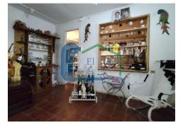 Oportunidad para invertir en turismo – Olmué