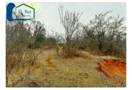 AMPLIA PARCELA 5.050 M2